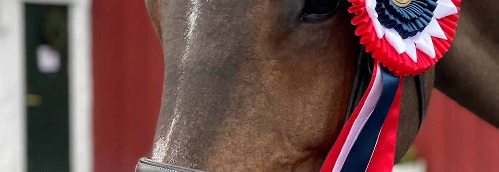 Klubbstevne i sprang med innlagt klubbmesterskap